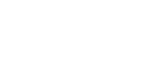 Logo en color blanco del Cantó del Palasiet